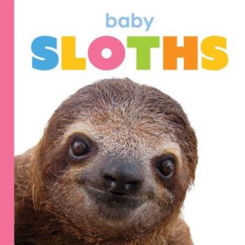Baby Sloths