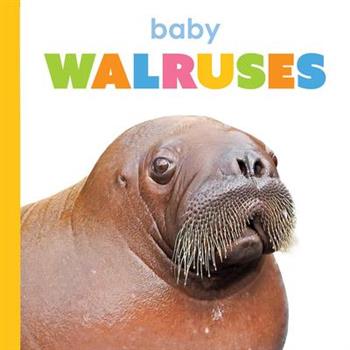 Baby Walruses