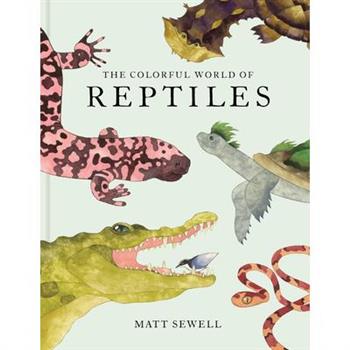 The Colorful World of Reptiles