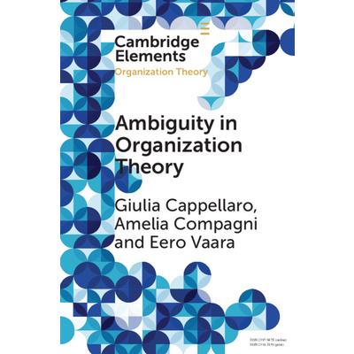 Ambiguity in Organization Theory
