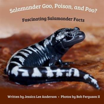Salamander Goo, Poison, and Poo? Fascinating Salamander Facts