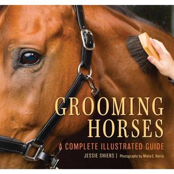 Grooming Horses