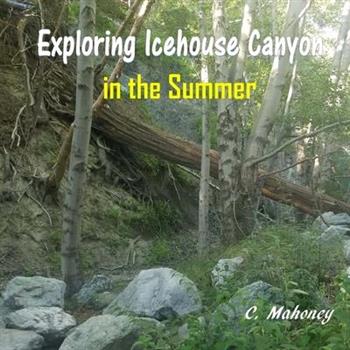 Exploring Icehouse Canyon in the Summer