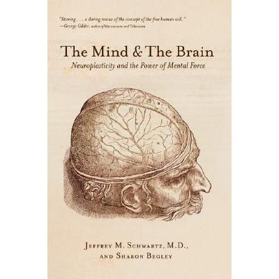 The Mind and the Brain