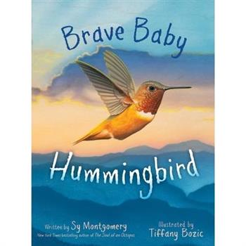 Brave Baby Hummingbird
