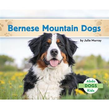 Bernese Mountain Dogs