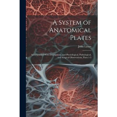 A System of Anatomical Plates