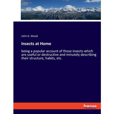 Insects at Home
