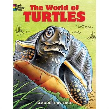 The World of Turtles