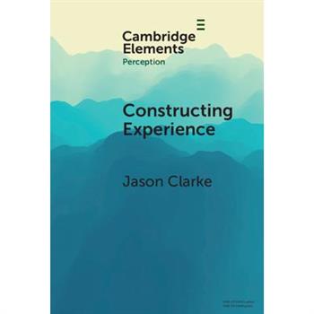 Constructing Experience