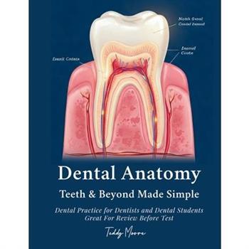 Dental Anatomy Teeth & Beyond Made Simple