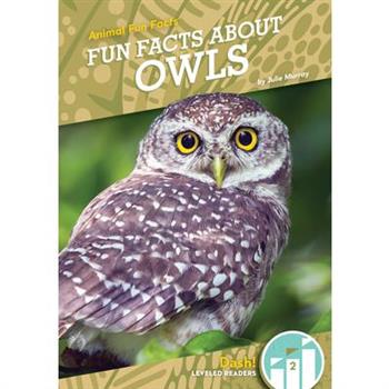 Fun Facts about Owls