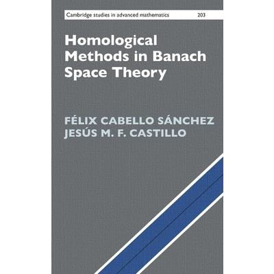 Homological Methods in Banach Space Theory