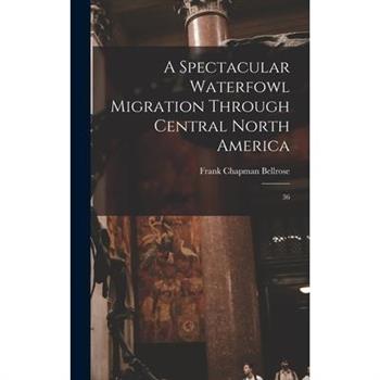 A Spectacular Waterfowl Migration Through Central North America