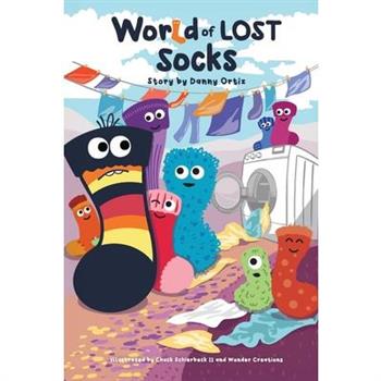 The World of Lost Socks