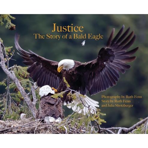 Justice--The Story of a Bald Eagle