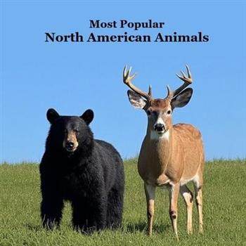 Most Popular North American Animals Kids Book