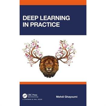 Deep Learning in Practice