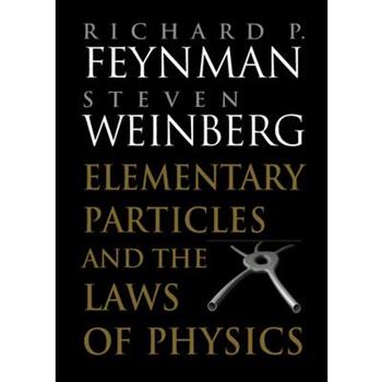 Elementary Particles and the Laws of Physics