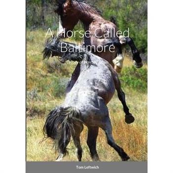 A Horse Called Baltimore