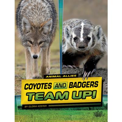 Coyotes and Badgers Team Up!