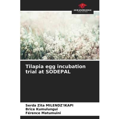 Tilapia egg incubation trial at SODEPAL