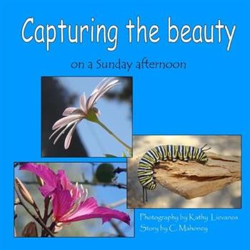 Capturing the beauty
