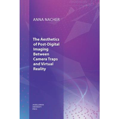 The Aesthetics of Post-Digital Imaging