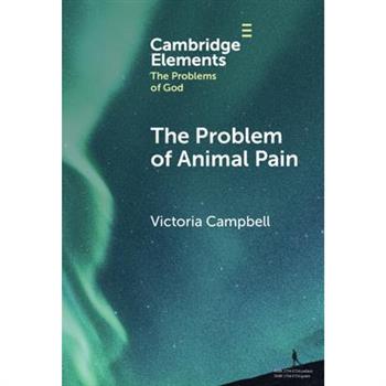 The Problem of Animal Pain