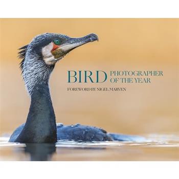 Bird Photographer of the Year