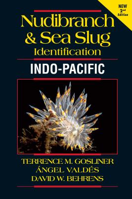 Nudibranch & Sea Slug Identification - Indo-pacific