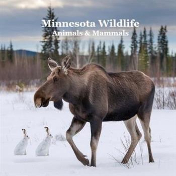 Minnesota Animals and Mammals Wildlife Book