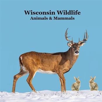 Wisconsin Animals and Mammals Wildlife Book