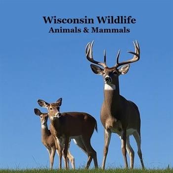 Wisconsin Animals and Mammals Wildlife Book