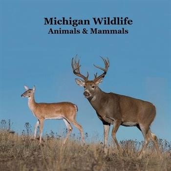 Michigan Animals and Mammals Wildlife Book