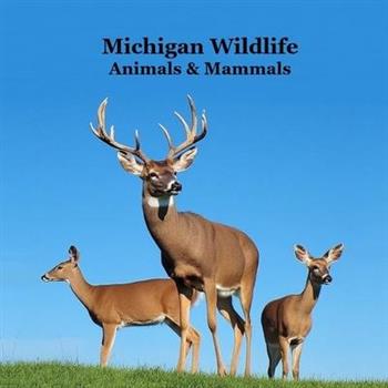Michigan Animals and Mammals Wildlife Book