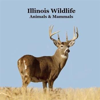 Illinois Animals and Mammals Wildlife Book