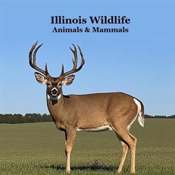 Illinois Animals and Mammals Wildlife Book
