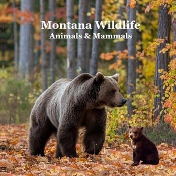 Montana Animals and Mammals Wildlife Book