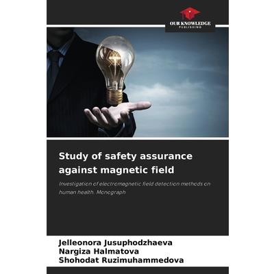 Study of safety assurance against magnetic field