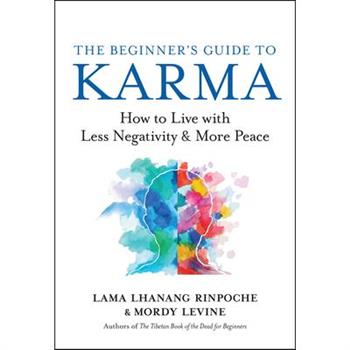 The Beginner's Guide to Karma