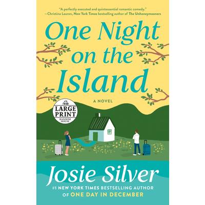 One Night on the Island