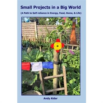 Small Projects in a Big World