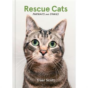 Rescue Cats