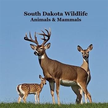 South Dakota Animals and Mammals Wildlife Book