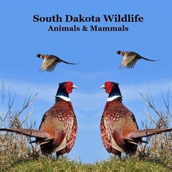 South Dakota Animals and Mammals Wildlife Book