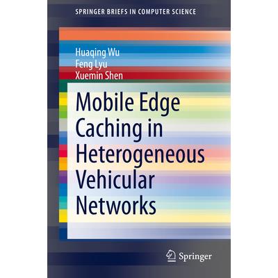 Mobile Edge Caching in Heterogeneous Vehicular Networks