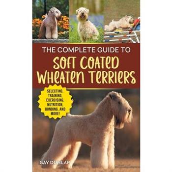 The Complete Guide to Soft Coated Wheaten Terriers