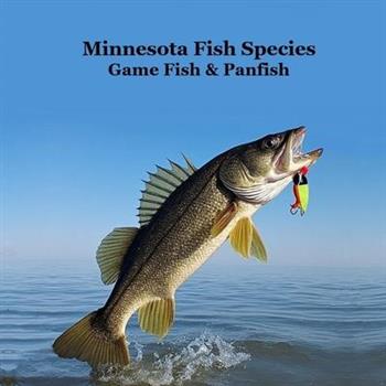 Minnesota Game Fish and Panfish Species Kids Book