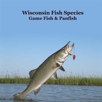 Wisconsin Game Fish and Panfish Species Kids Book